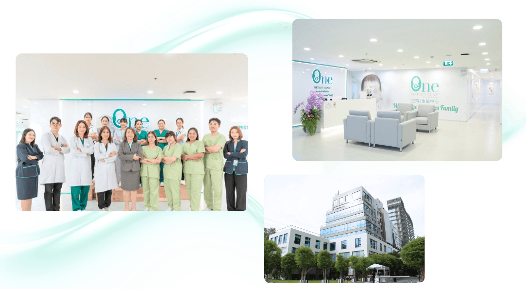 One Fertility Clinic facility and team